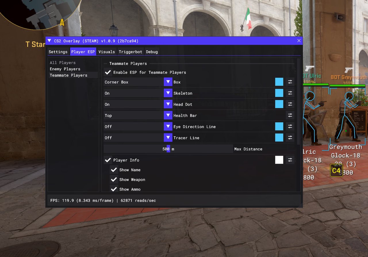 CS2 Overlay (STEAM) 截图 4